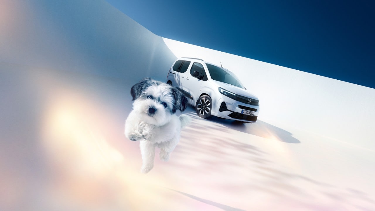 Front side view of a white Opel Combo and a dog