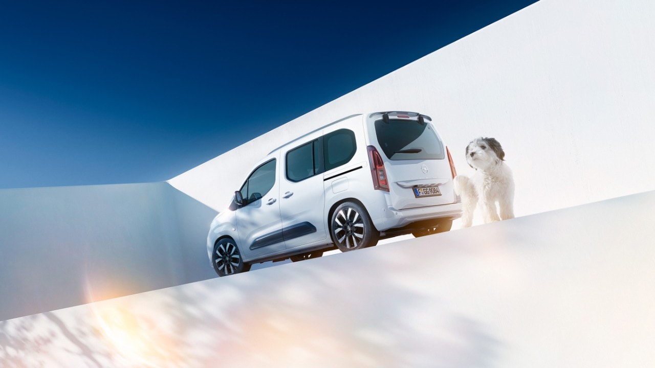 Rear side view of a white Opel Combo and a dog next to a Wallbox charger
